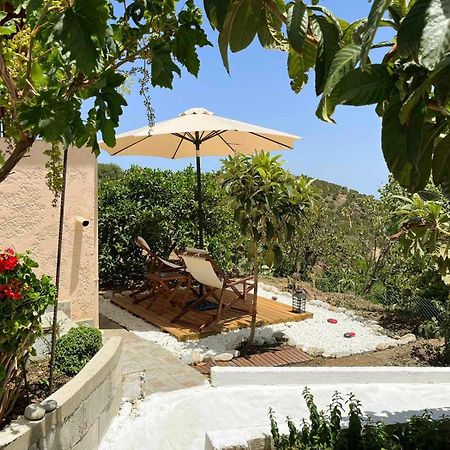 شقة The Garden House, Sitia المظهر الخارجي الصورة