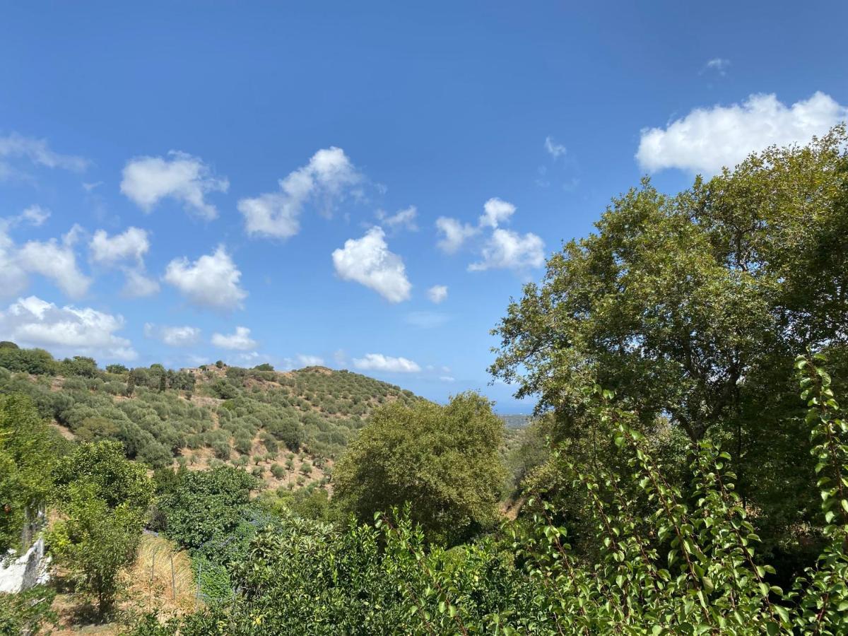 شقة The Garden House, Sitia المظهر الخارجي الصورة