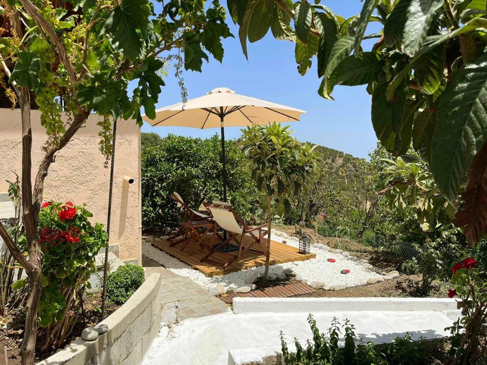 شقة The Garden House, Sitia المظهر الخارجي الصورة
