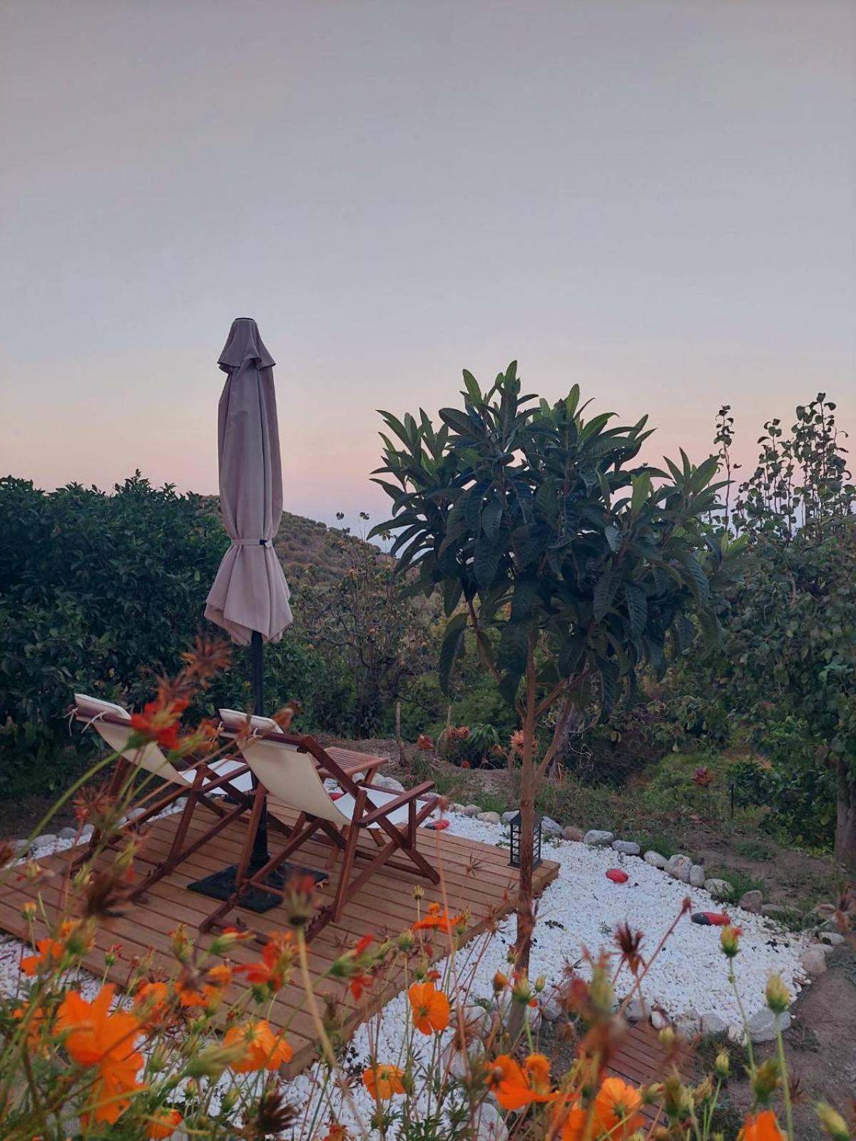 شقة The Garden House, Sitia المظهر الخارجي الصورة